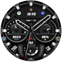 WFP 240 Modern watch face