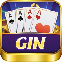 Gin Rummy - Offline Card Game