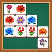 Zen Blossom Match
