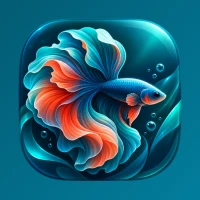 Betta Fish Wallpaper