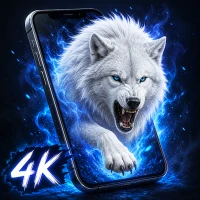WallBox HD Live Wallpapers 4k