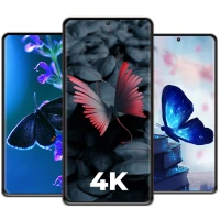 Butterfly Wallpapers 4K | HD