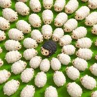 Sheep Away: Farm Jam Puzzle