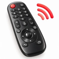 LG TV Remote