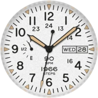 Military Spec Field Watch Face