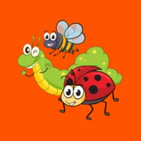 Insect Learner