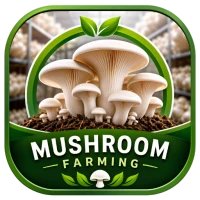 Mushroom Farming - मशरूम खेती