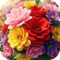 Flower 4K Wallpapers